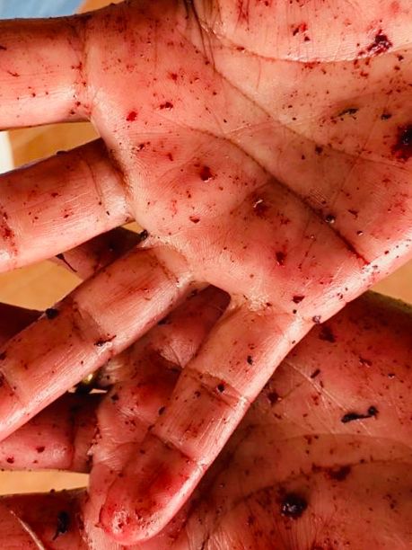 Le mani colorate dei bambini dopo il laboratorio
